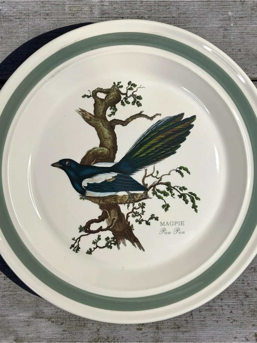 Vintage Portmeirion Birds of Britain 11” Plates Set of 6 Green Band 1978